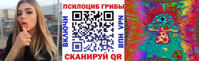 где продают   Семикаракорск  Галлюциногенные грибы мицелий 